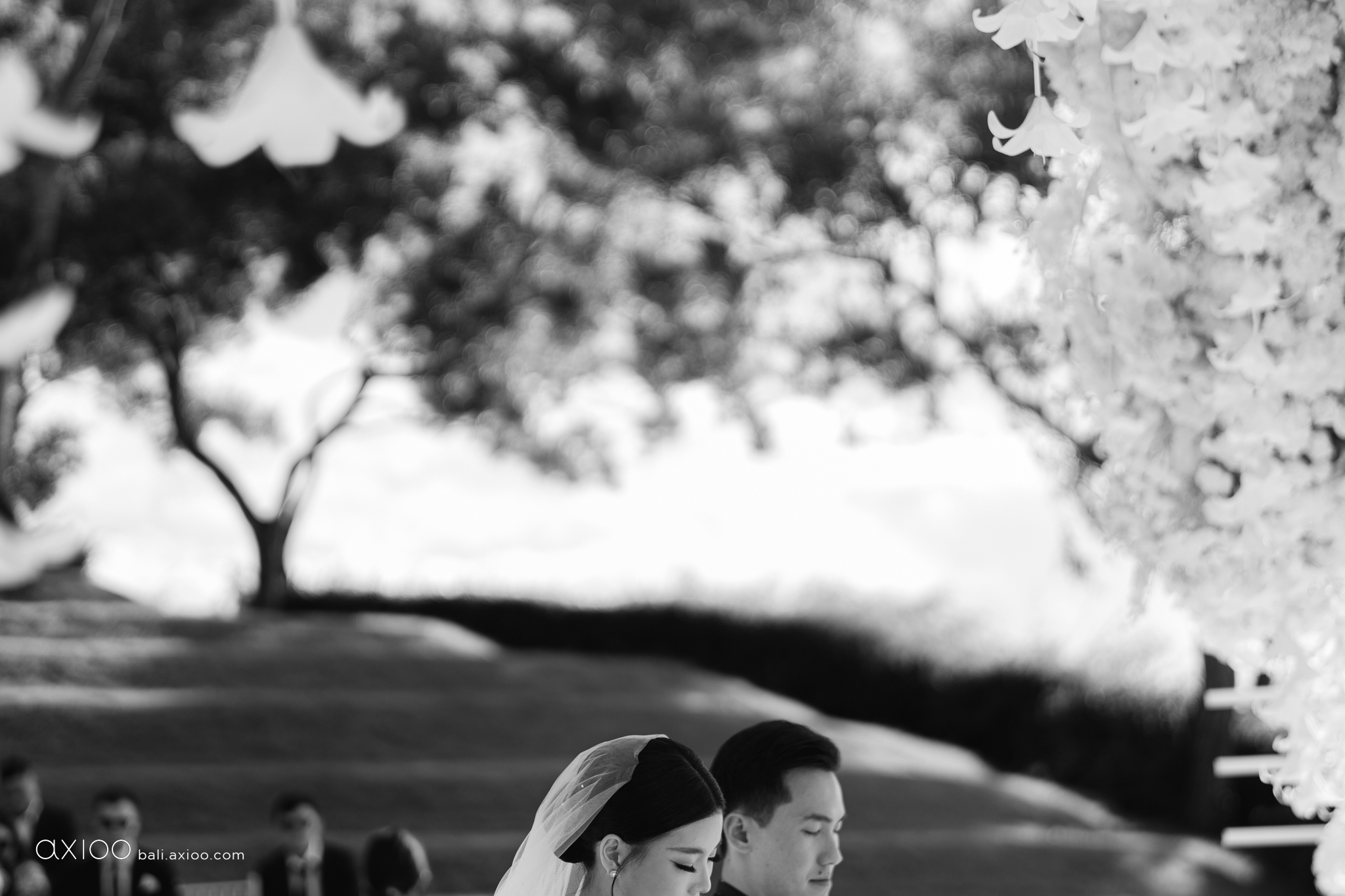 Axioo: Out of Focus, Into Forever
